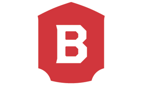 Brindlee Fire Services logo